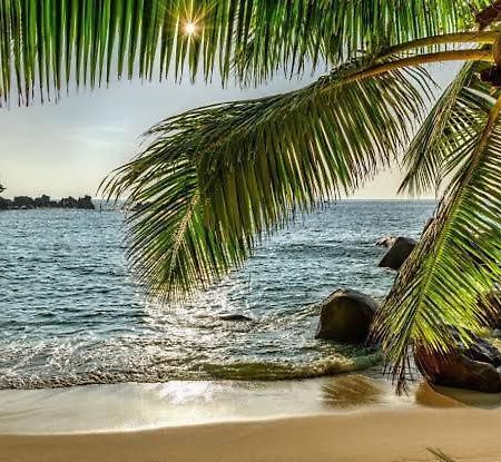 Baga Beach Palms Exterior photo