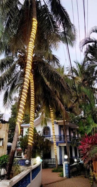 Baga Beach Palms Exterior photo
